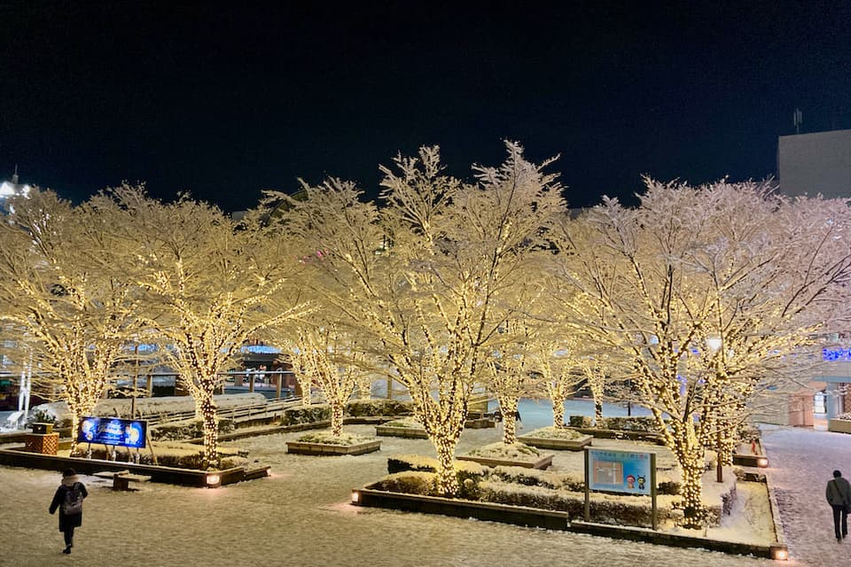 新浦安駅 浦安の初雪2022