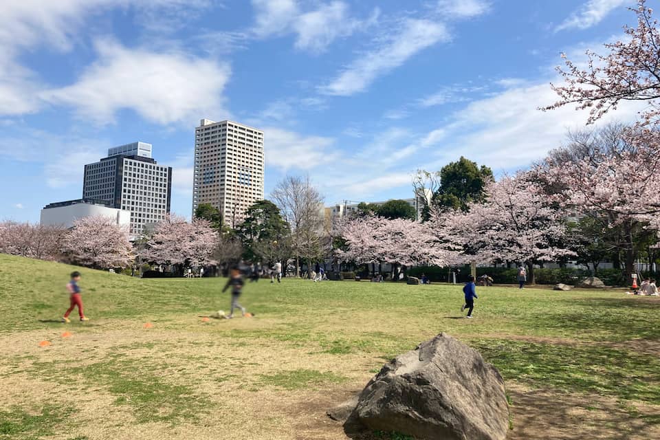若潮公園の桜のお花見2022